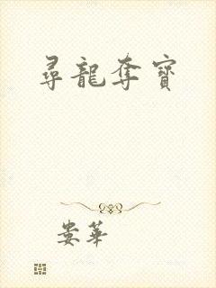 寻龙夺宝