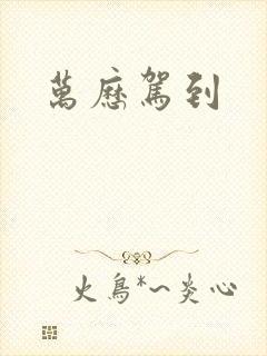 万历驾到