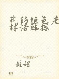我的绝色老板娘林浩韩总