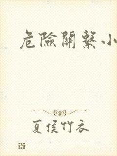 危险关系小说封面