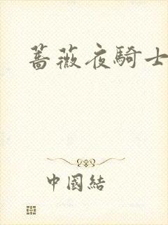 蔷薇夜骑士