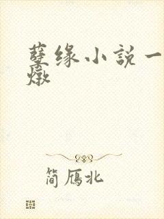 孽缘小说一家乱炖