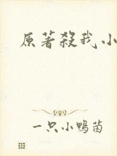 原著杀我小说