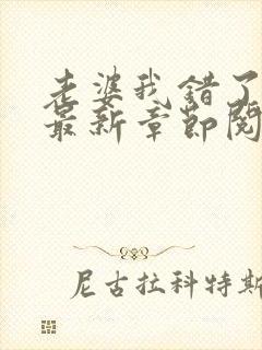 老婆我错了小说最新章节阅读全文封面