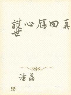 护心雁回真实身世封面
