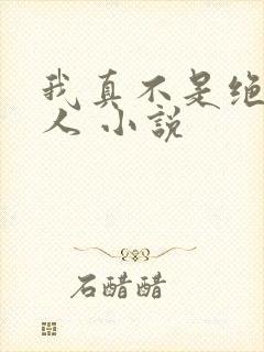 我真不是绝世高人 小说
