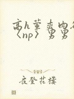 高h荤爽肉欲文〈np〉男男封面