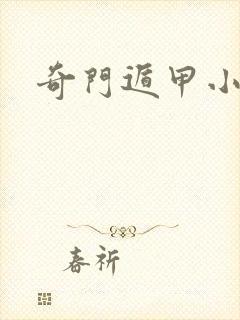 奇门遁甲小说