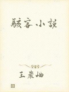 骇客小说
