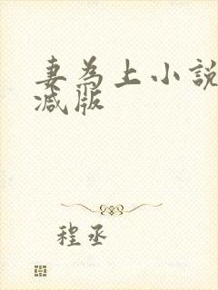 妻为上小说无删减版封面