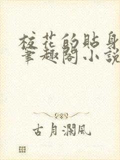 校花的贴身高手笔趣阁小说封面
