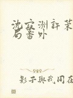 沈寂洲许茉大结局番外