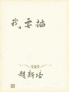 我要插