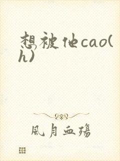 想被他cao(h)封面