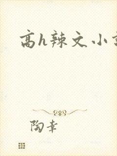 高h辣文小说封面