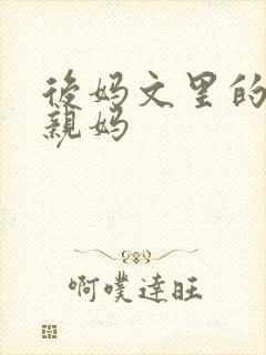 后妈文里的短命亲妈封面