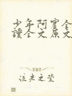 少年阿宾全文阅读全文原文