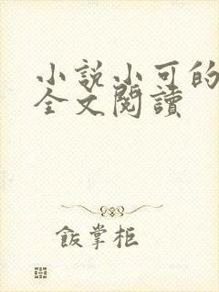 小说小可的奶水全文阅读