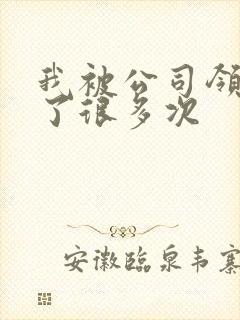 我被公司领导C了很多次