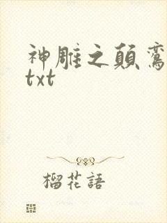 神雕之颠鸾倒凤txt封面