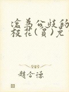 书籍封面