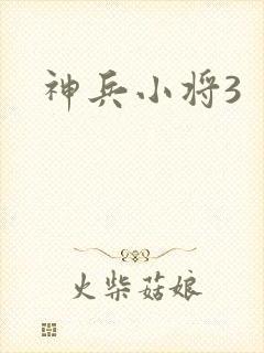 神兵小将3封面