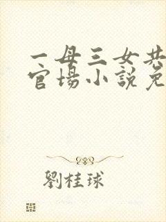一母三女共一婿官场小说免费阅读封面