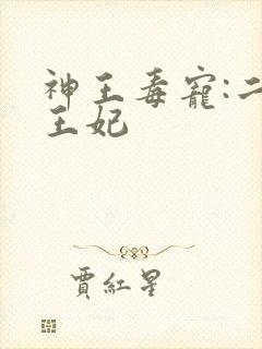 神王毒宠:二嫁王妃