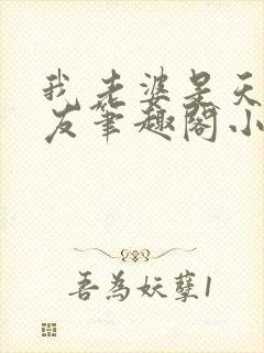 我老婆是天后张友笔趣阁小说封面