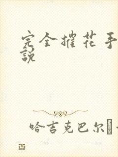 完全摧花手册小说