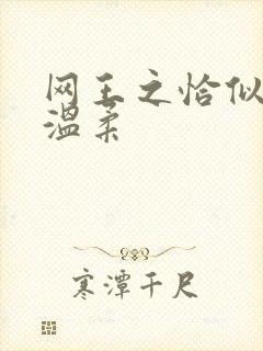 网王之恰似你的温柔