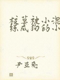 校草被小混混训练成狗的小说