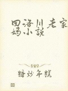 回洛川老家看妈妈小说