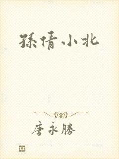 孙倩小北封面