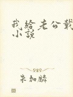 我给老公戴绿帽小说