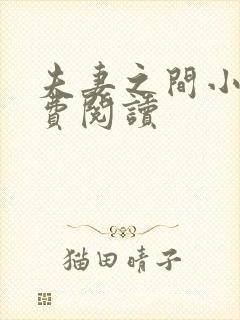 夫妻之间小说免费阅读