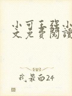 小可王强小说全文免费阅读封面