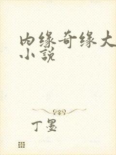 内缘奇缘大团圆小说封面