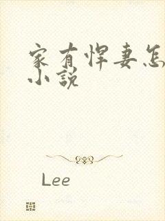 家有悍妻怎么破小说