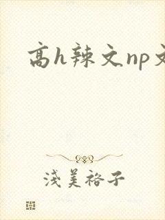 高h辣文np文