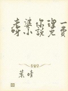 老婆你理一理我呀小说免费阅读