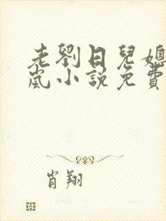 老刘日儿媳妇张岚小说免费阅读