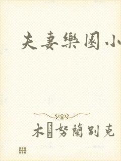 夫妻乐园小说