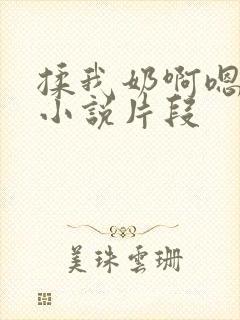 揉我奶啊嗯高潮小说片段