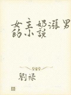 女主奶涨男主帮的小说封面