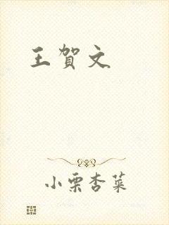 王贺文