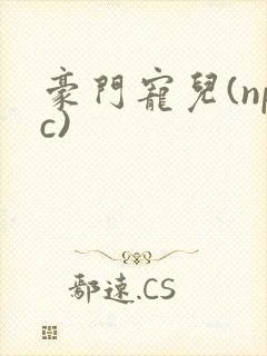 豪门宠儿(npc)