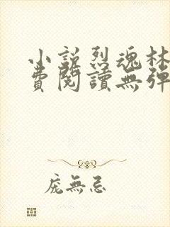 小说烈魂林阳免费阅读无弹窗封面