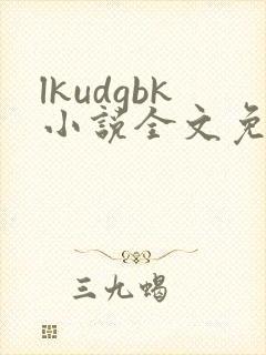 lkudgbk小说全文免费阅读笔趣阁无弹窗