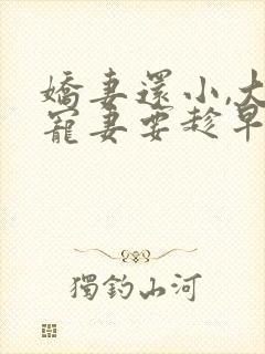 娇妻还小,大叔宠妻要趁早
